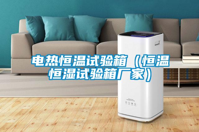 電熱恒溫試驗箱(恒溫恒濕試驗箱廠家)