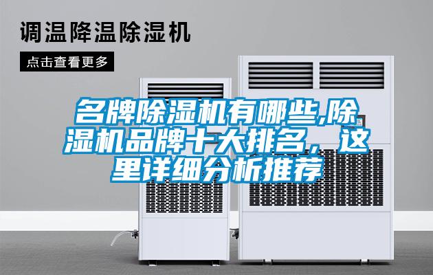 名牌除濕機有哪些,除濕機品牌十大排名，這里詳細分析推薦