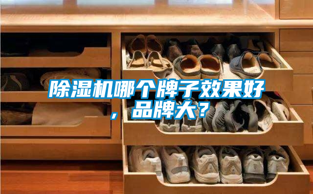 除濕機哪個(gè)牌子效果好，品牌大？