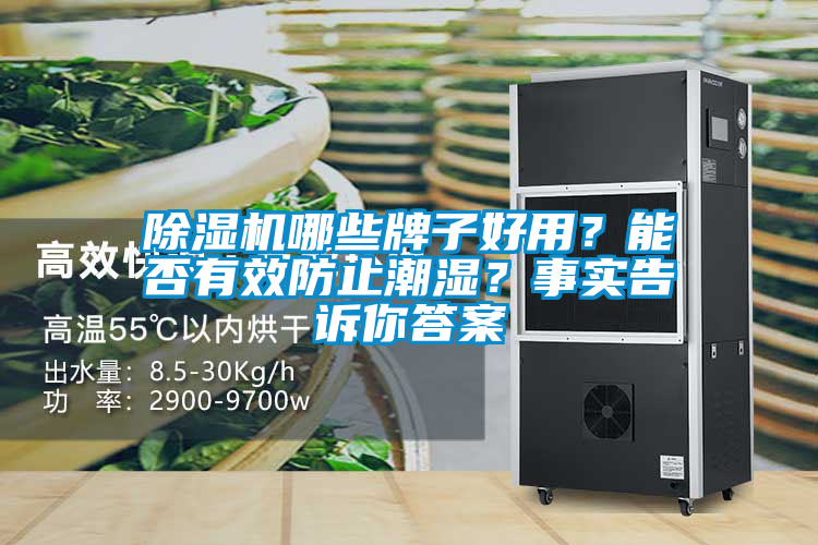 除濕機哪些牌子好用？能否有效防止潮濕？事實(shí)告訴你答案