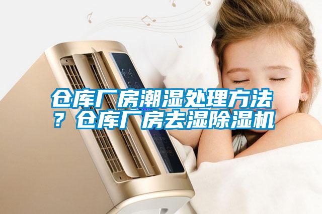 倉庫廠(chǎng)房潮濕處理方法？倉庫廠(chǎng)房去濕除濕機