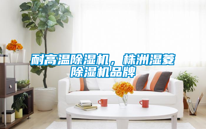 耐高溫除濕機，株洲濕菱除濕機品牌
