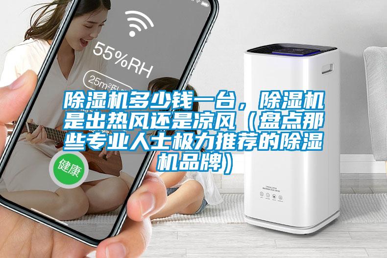 除濕機多少錢(qián)一臺，除濕機是出熱風(fēng)還是涼風(fēng)（盤(pán)點(diǎn)那些專(zhuān)業(yè)人士極力推薦的除濕機品牌）