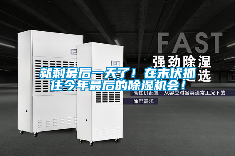就剩最后一天了！在末伏抓住今年最后的除濕機會(huì )！