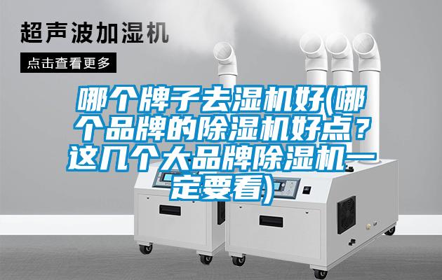 哪個(gè)牌子去濕機好(哪個(gè)品牌的除濕機好點(diǎn)？這幾個(gè)大品牌除濕機一定要看)