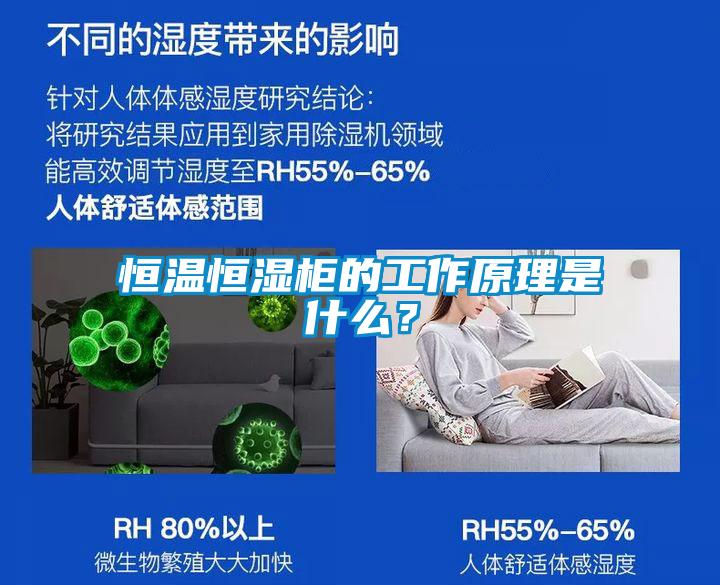 恒溫恒濕柜的工作原理是什么？