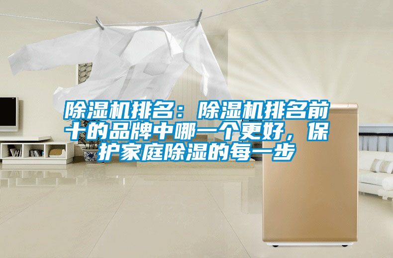 除濕機排名：除濕機排名前十的品牌中哪一個(gè)更好，保護家庭除濕的每一步