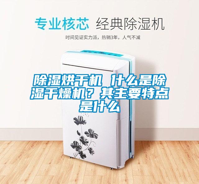 除濕烘干機 什么是除濕干燥機？其主要特點(diǎn)是什么