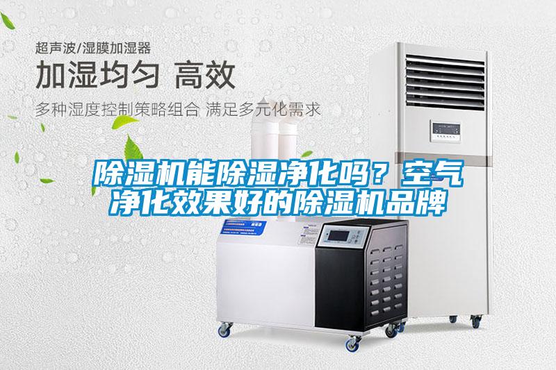 除濕機能除濕凈化嗎？空氣凈化效果好的除濕機品牌