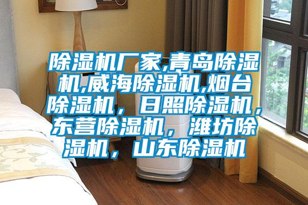 除濕機廠(chǎng)家,青島除濕機,威海除濕機,煙臺除濕機，日照除濕機，東營(yíng)除濕機，濰坊除濕機，山東除濕機
