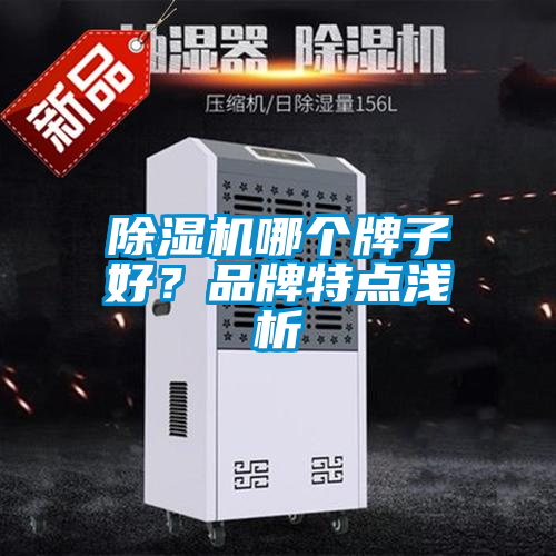 除濕機哪個(gè)牌子好？品牌特點(diǎn)淺析