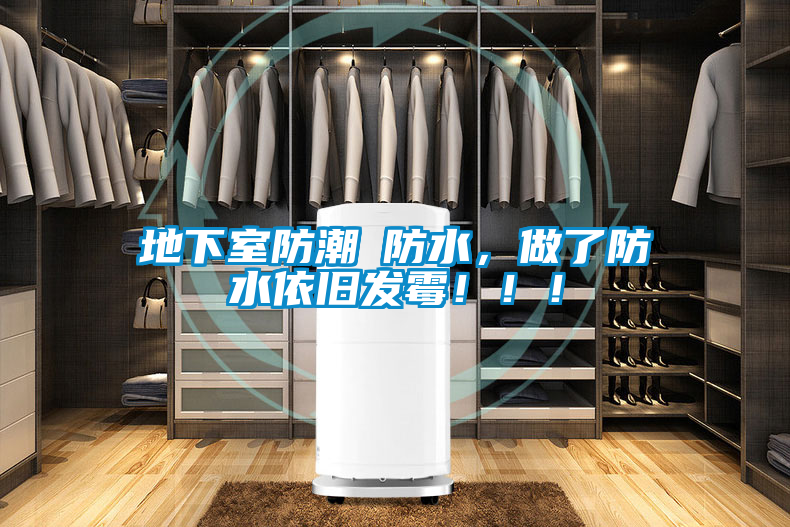 地下室防潮≠防水，做了防水依舊發(fā)霉?。?！