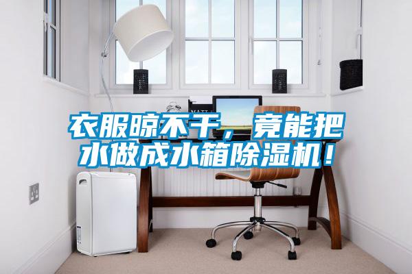 衣服晾不干，竟能把水做成水箱除濕機！