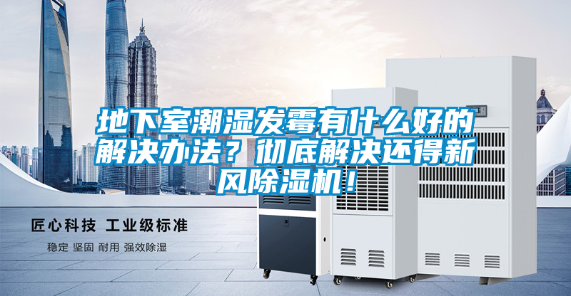地下室潮濕發(fā)霉有什么好的解決辦法？徹底解決還得新風(fēng)除濕機！
