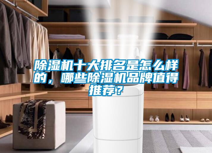 除濕機十大排名是怎么樣的，哪些除濕機品牌值得推薦？