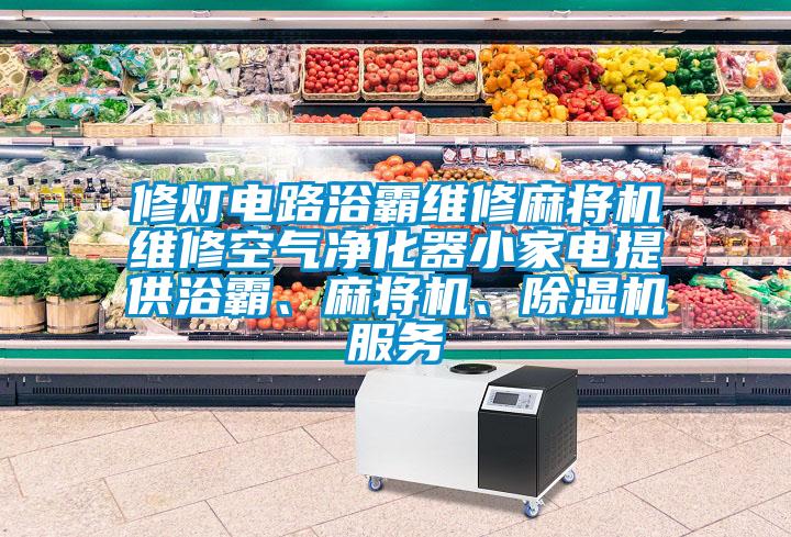 修燈電路浴霸維修麻將機維修空氣凈化器小家電提供浴霸、麻將機、除濕機服務(wù)