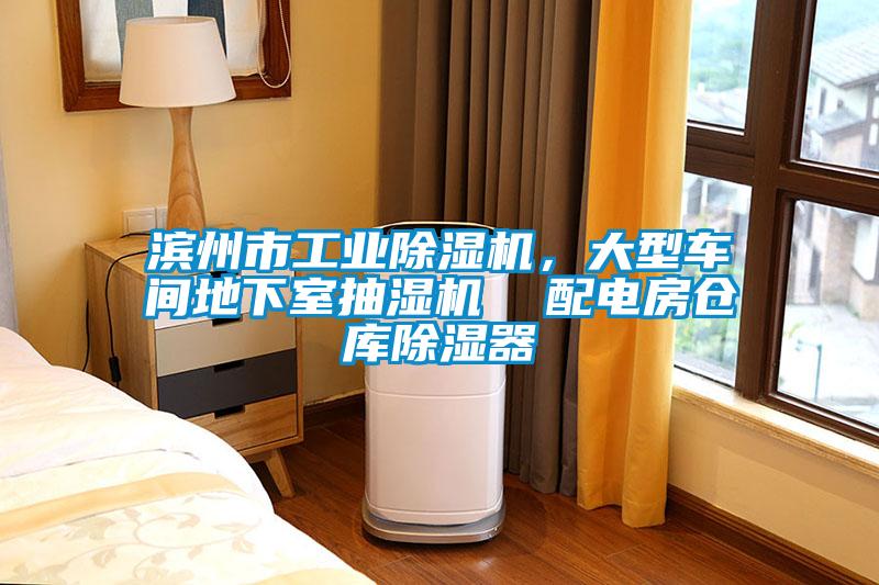 濱州市工業(yè)除濕機，大型車(chē)間地下室抽濕機  配電房倉庫除濕器