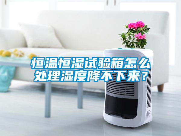 恒溫恒濕試驗箱怎么處理濕度降不下來(lái)？