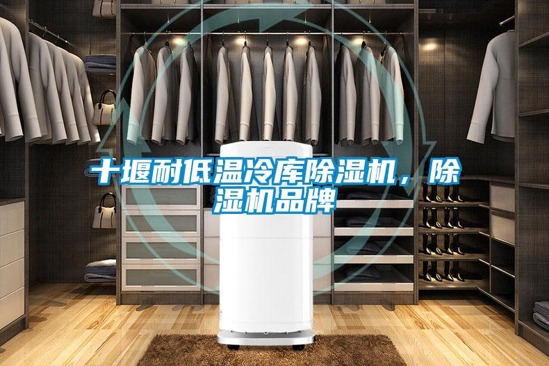 十堰耐低溫冷庫除濕機，除濕機品牌
