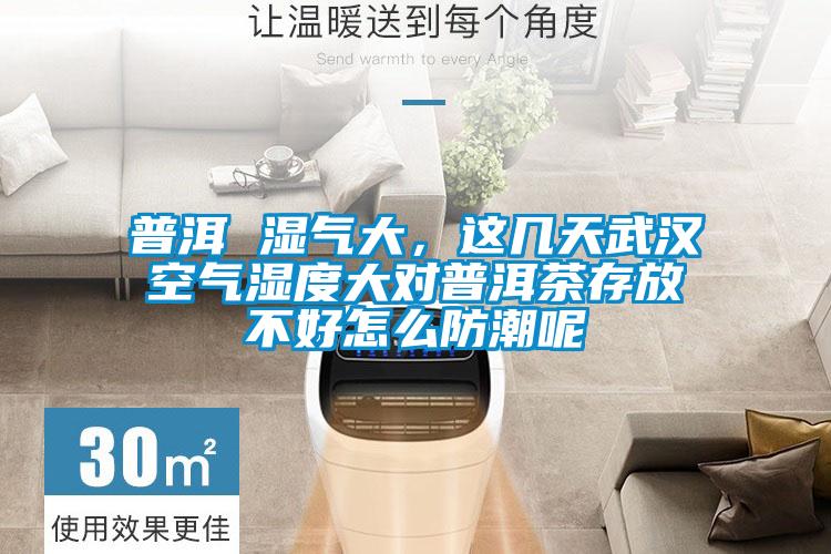 普洱 濕氣大，這幾天武漢空氣濕度大對普洱茶存放不好怎么防潮呢