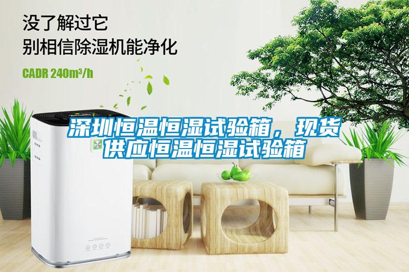 深圳恒溫恒濕試驗箱，現貨供應恒溫恒濕試驗箱
