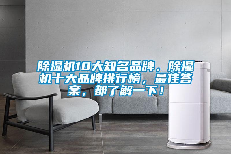 除濕機10大知名品牌，除濕機十大品牌排行榜，最佳答案，都了解一下！