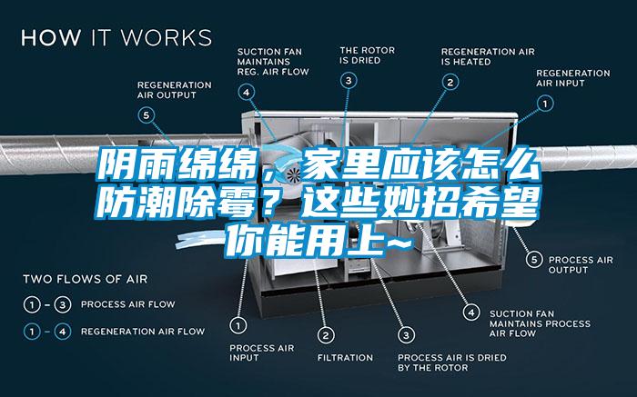 陰雨綿綿，家里應該怎么防潮除霉？這些妙招希望你能用上~