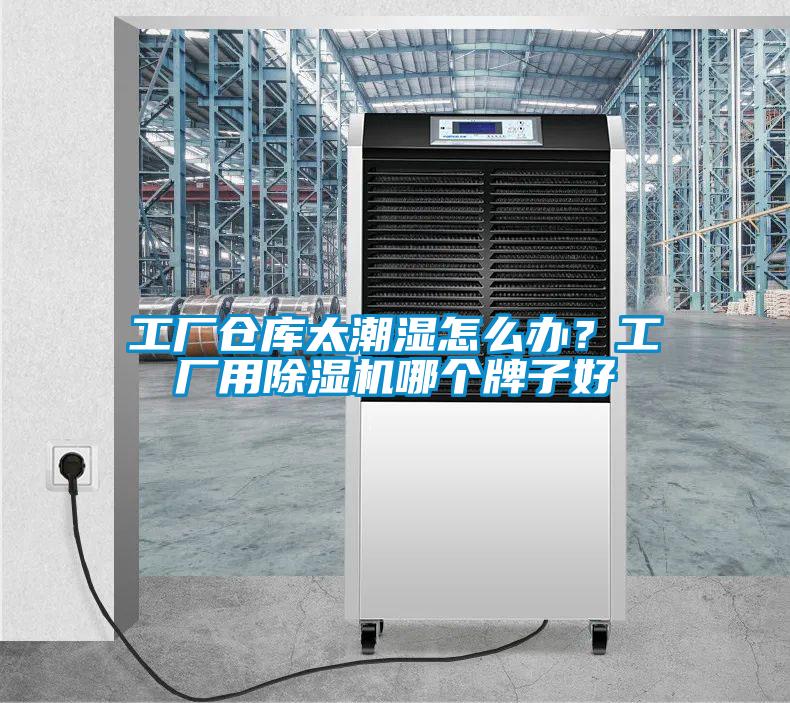 工廠(chǎng)倉庫太潮濕怎么辦？工廠(chǎng)用除濕機哪個(gè)牌子好