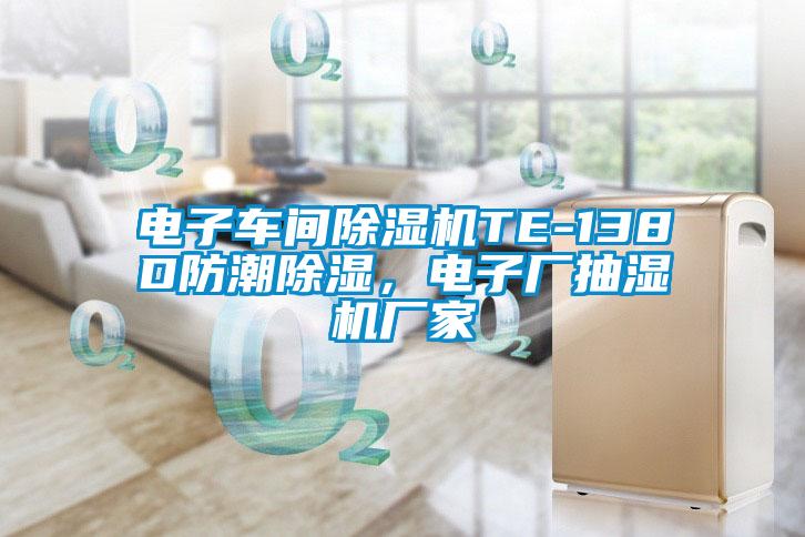 電子車(chē)間除濕機TE-138D防潮除濕，電子廠(chǎng)抽濕機廠(chǎng)家