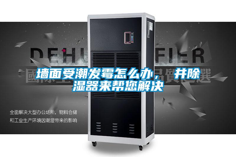墻面受潮發(fā)霉怎么辦，東井除濕器來(lái)幫您解決
