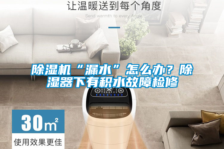 除濕機“漏水”怎么辦？除濕器下有積水故障檢修