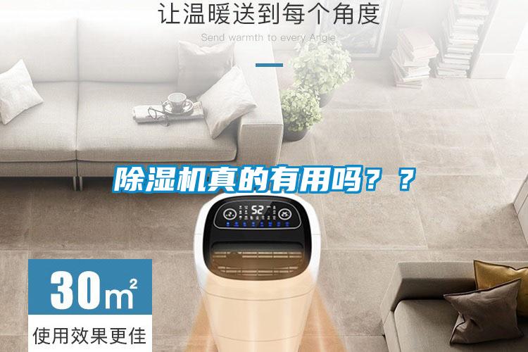 除濕機真的有用嗎？？