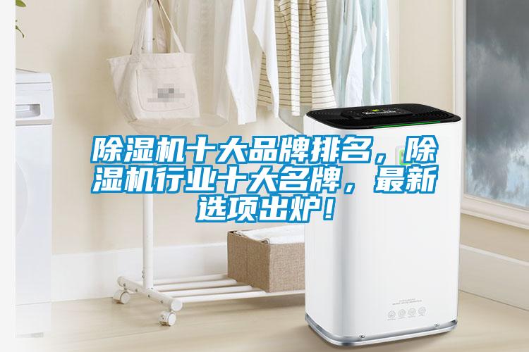 除濕機十大品牌排名，除濕機行業(yè)十大名牌，最新選項出爐！