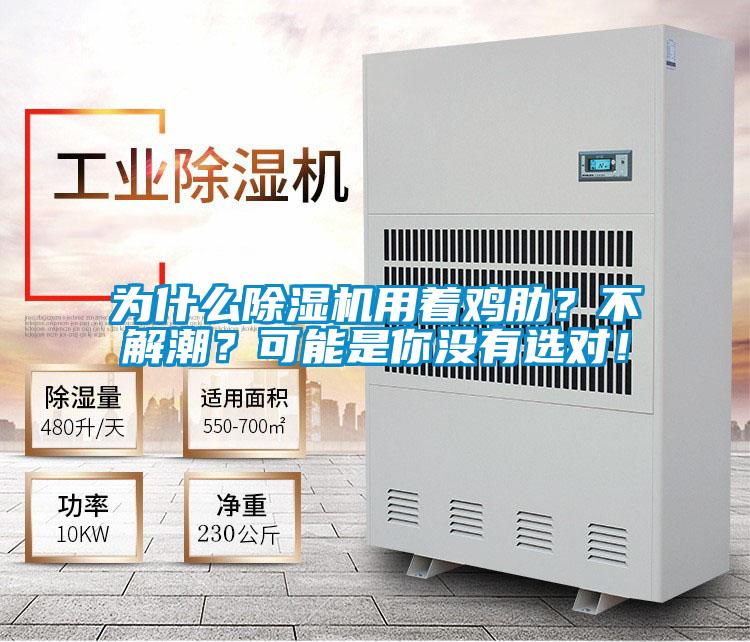 為什么除濕機用著(zhù)雞肋？不解潮？可能是你沒(méi)有選對！
