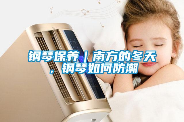 鋼琴保養｜南方的冬天，鋼琴如何防潮