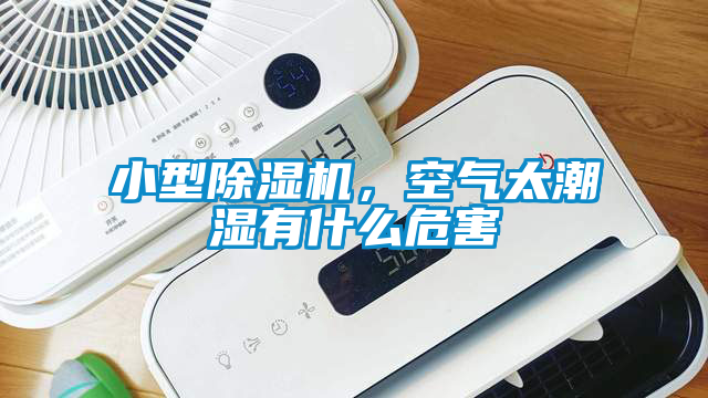 小型除濕機，空氣太潮濕有什么危害