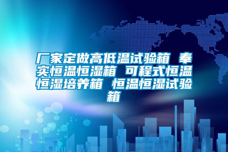 廠(chǎng)家定做高低溫試驗箱 奉實(shí)恒溫恒濕箱 可程式恒溫恒濕培養箱 恒溫恒濕試驗箱
