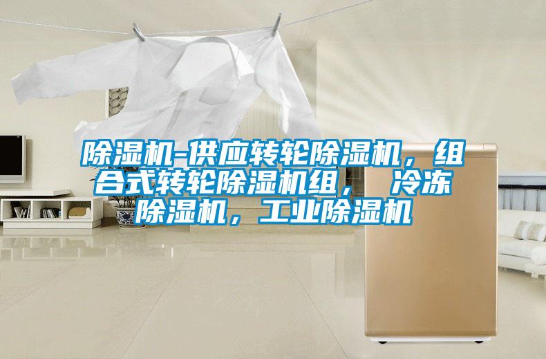 除濕機-供應轉輪除濕機，組合式轉輪除濕機組， 冷凍除濕機，工業(yè)除濕機