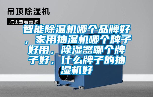 智能除濕機哪個(gè)品牌好，家用抽濕機哪個(gè)牌子好用，除濕器哪個(gè)牌子好，什么牌子的抽濕機好