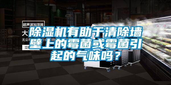 除濕機有助于清除墻壁上的霉菌或霉菌引起的氣味嗎？
