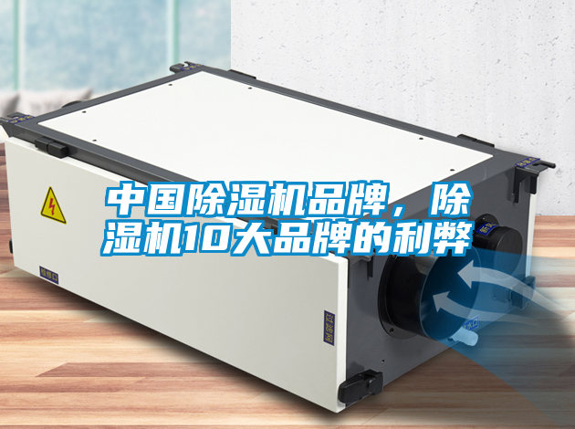 中國除濕機品牌，除濕機10大品牌的利弊