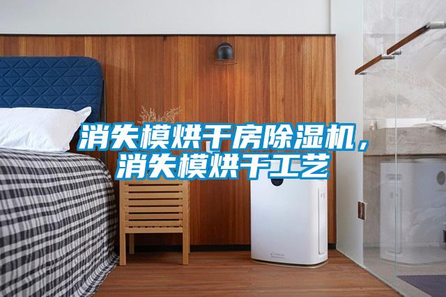 消失模烘干房除濕機，消失模烘干工藝