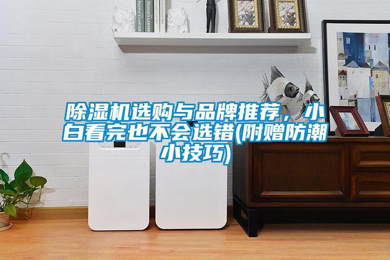 除濕機選購與品牌推薦，小白看完也不會(huì )選錯(附贈防潮小技巧)