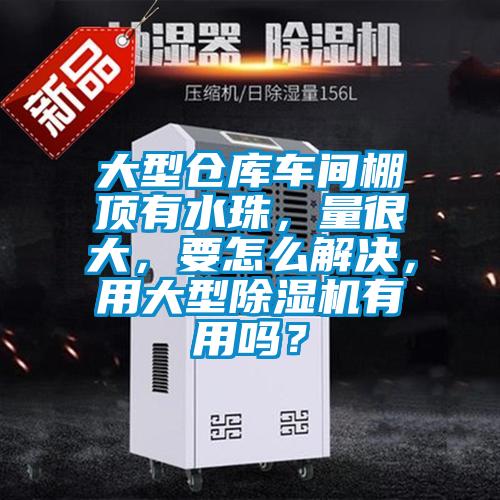 大型倉庫車(chē)間棚頂有水珠，量很大，要怎么解決，用大型除濕機有用嗎？