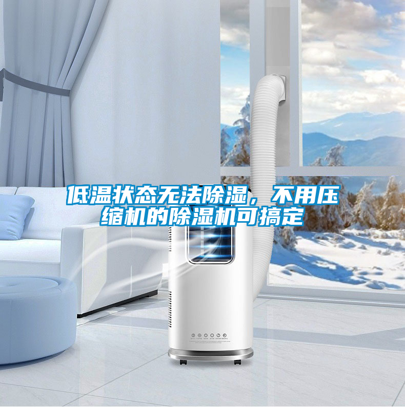 低溫狀態(tài)無(wú)法除濕，不用壓縮機的除濕機可搞定