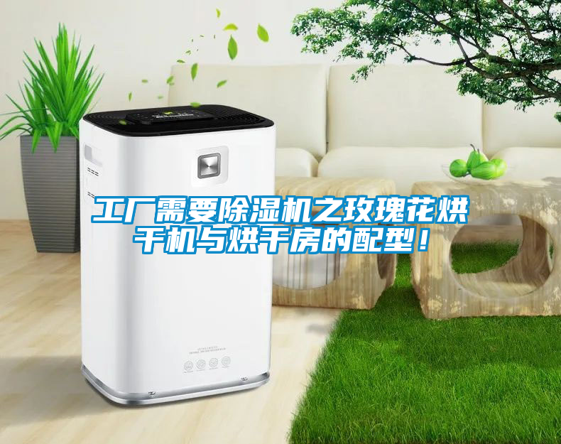 工廠(chǎng)需要除濕機之玫瑰花烘干機與烘干房的配型！