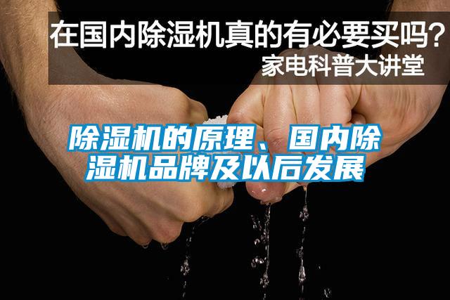 除濕機的原理、國內除濕機品牌及以后發(fā)展