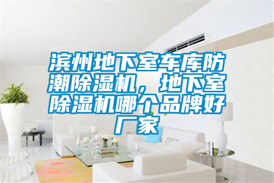 濱州地下室車(chē)庫防潮除濕機，地下室除濕機哪個(gè)品牌好廠(chǎng)家