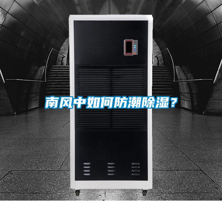 南風(fēng)中如何防潮除濕？