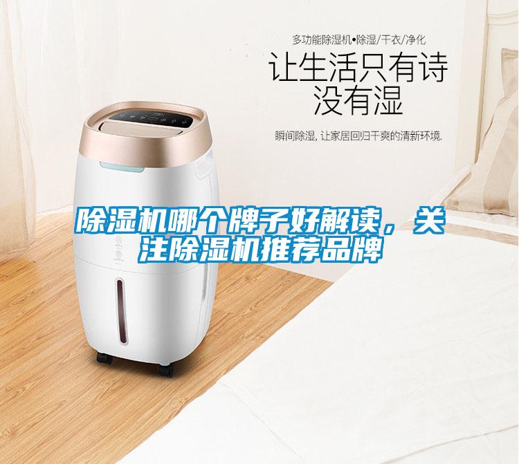 除濕機哪個(gè)牌子好解讀，關(guān)注除濕機推薦品牌